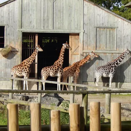 Flamingo Land - Woodlands W42 *