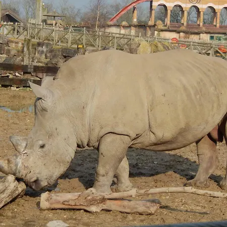 Flamingo Land - Woodlands W42 * Kirby Misperton