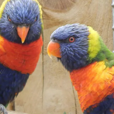 Flamingo Land - Woodlands W42 Parque de vacaciones