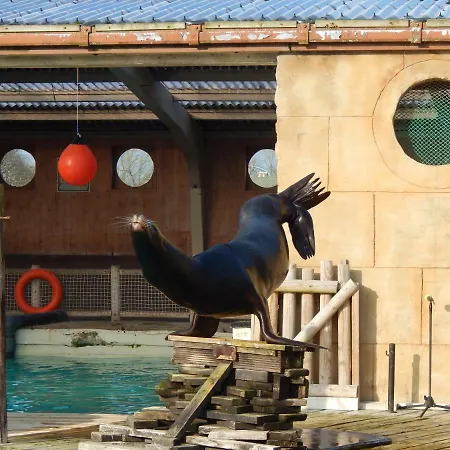 Flamingo Land - Woodlands W42 Kirby Misperton