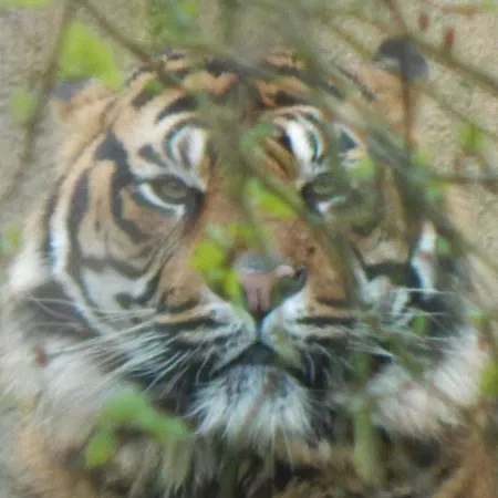 Parque de vacaciones Flamingo Land - Woodlands W42 Kirby Misperton