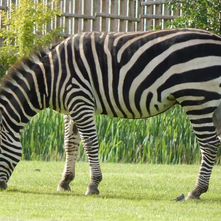 Flamingo Land - Woodlands W42 * Kirby Misperton