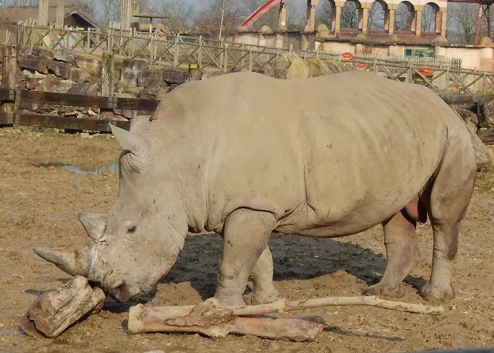 Flamingo Land - Woodlands W42 * Kirby Misperton