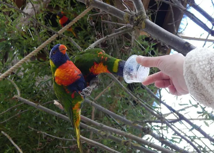 Flamingo Land - Woodlands W42 Holiday park *