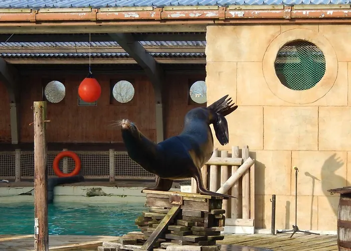 Flamingo Land - Woodlands W42 Kirby Misperton