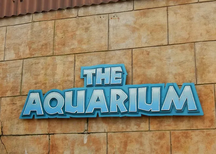 Flamingo Land - Woodlands W42 Holiday park Kirby Misperton