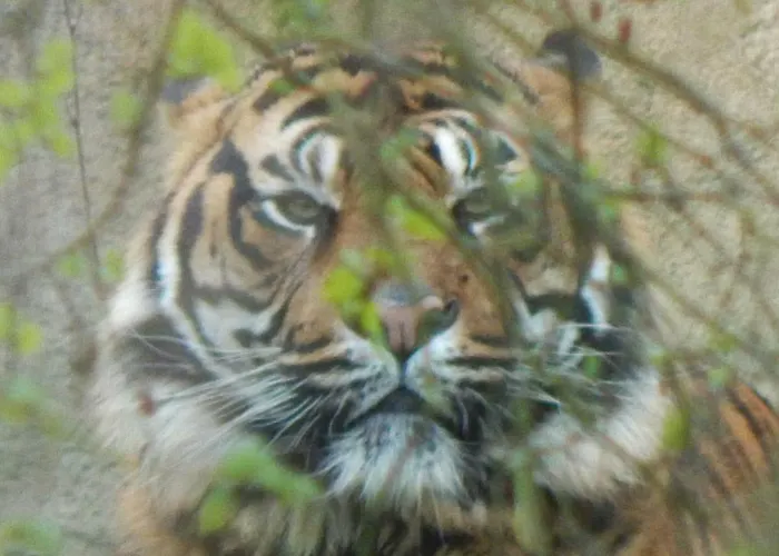 Holiday park Flamingo Land - Woodlands W42 Kirby Misperton