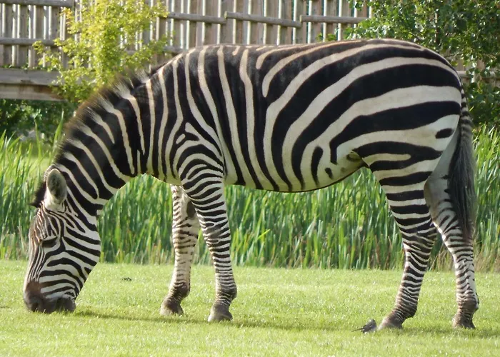 Flamingo Land - Woodlands W42 * Kirby Misperton