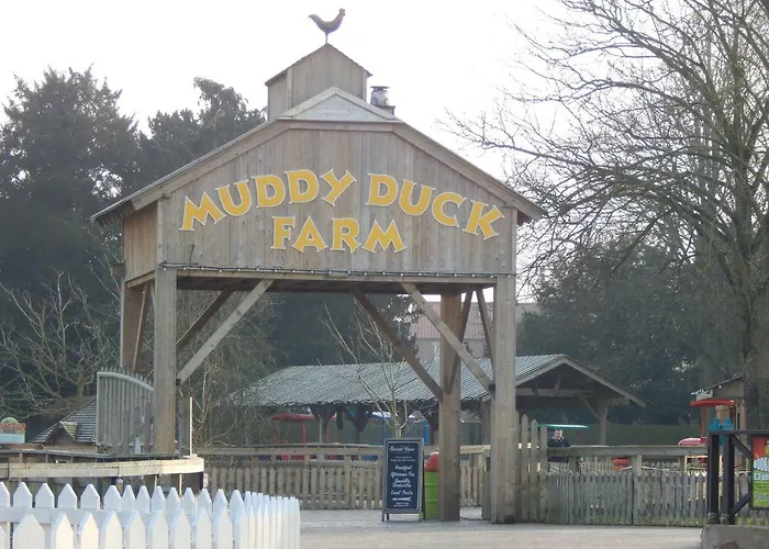 Flamingo Land - Woodlands W42 *