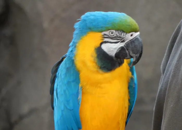 Holiday park Flamingo Land - Woodlands W42