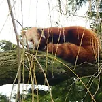 Flamingo Land - Woodlands W42 *