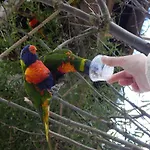 Flamingo Land - Woodlands W42 Πάρκο διακοπών *