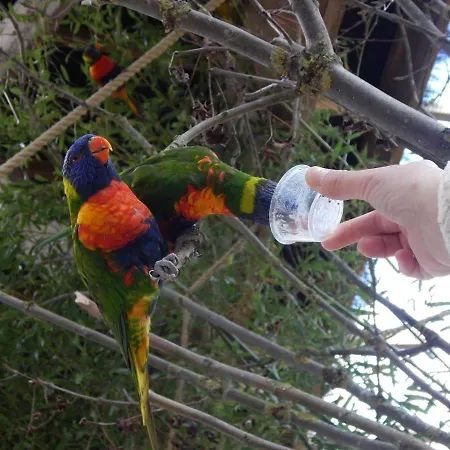 Flamingo Land - Woodlands W42 Tatil parkı *